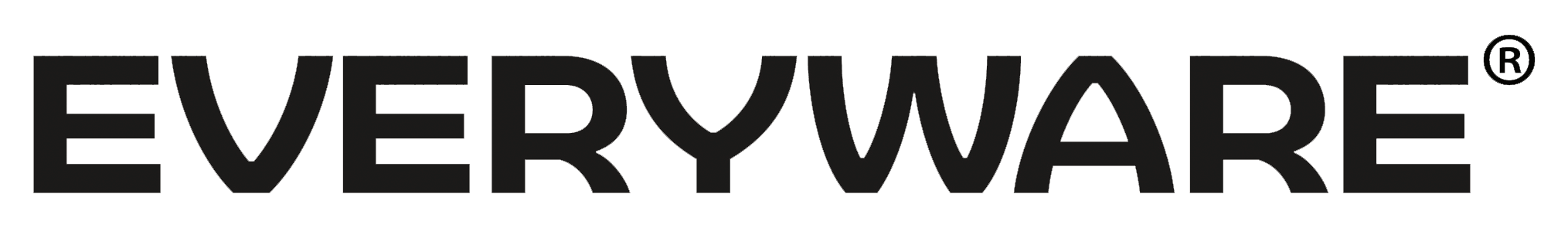 Everyware-logo
